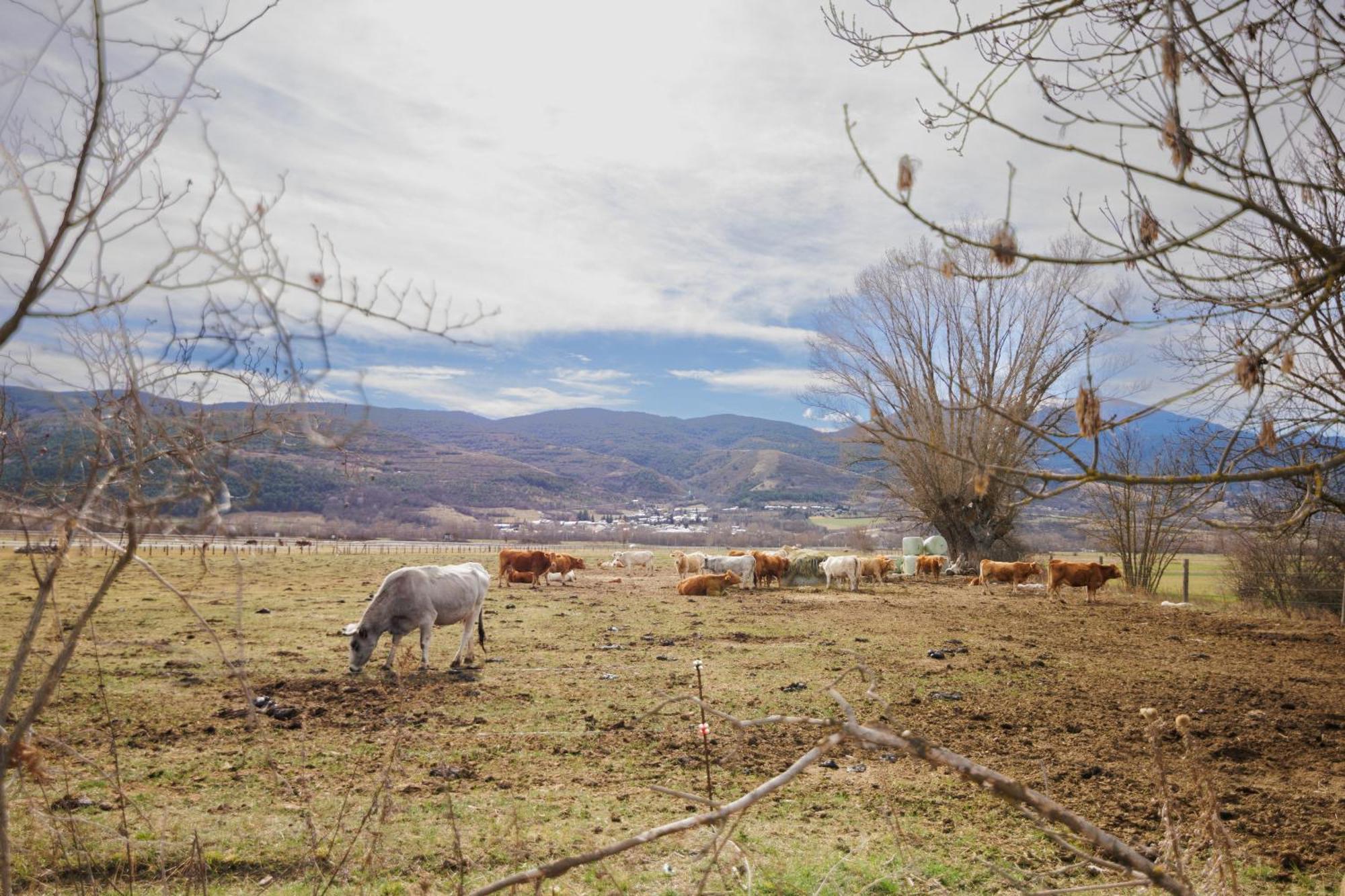 Chalet Ricart Puigcerdà